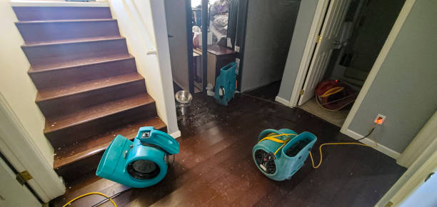 Best Water damage restoration near me  in Big Lake, WA