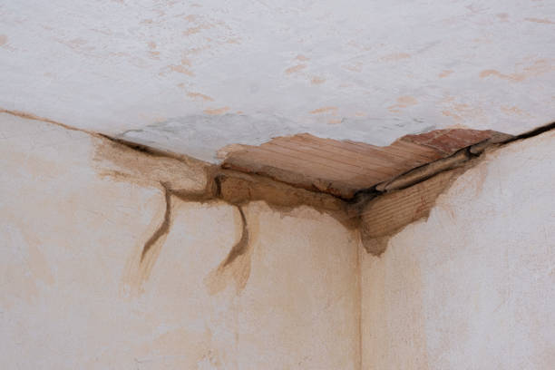 Best Basement water damage restoration  in Big Lake, WA