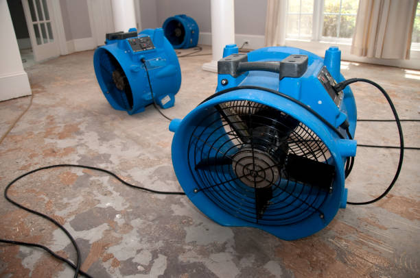 Best Water damage restoration near me  in Big Lake, WA
