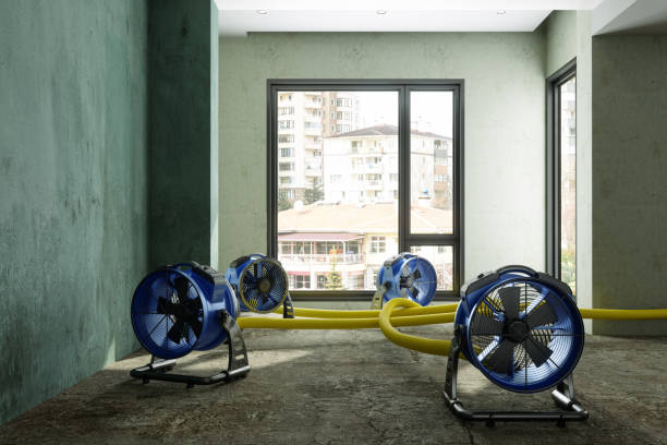 Best Basement water damage restoration  in Big Lake, WA